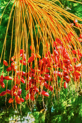 Similar image 10855345