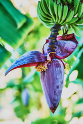 Similar image 10855346