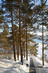 Similar image 10855477