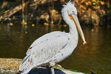 Similar image 10855377