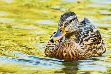 Similar image 10855384