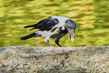 Similar image 10855387