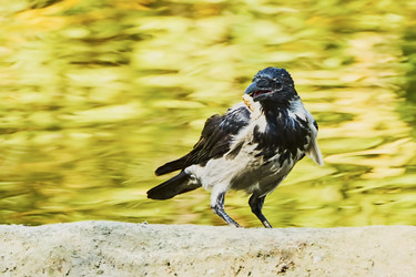 Similar image 10855388