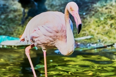 Similar image 10855389