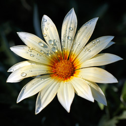 Similar image 10856574