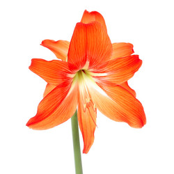 Similar image 10855481