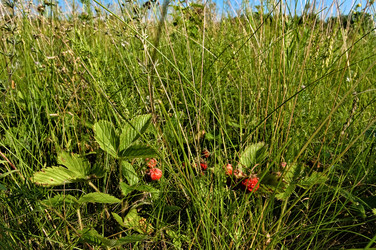 Similar image 10855482