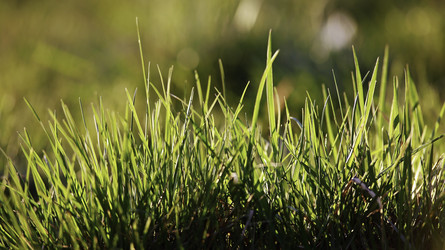 Similar image 10855179