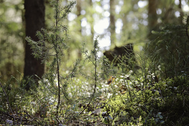 Similar image 10855181