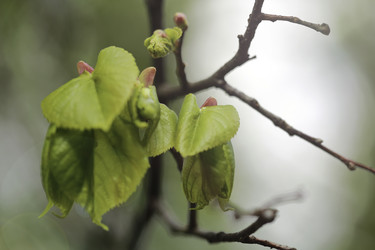 Similar image 10855484