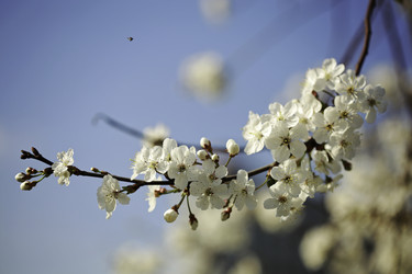 Similar image 10855485