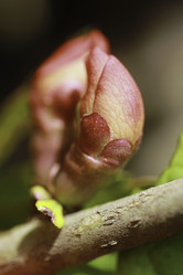 Similar image 10855183