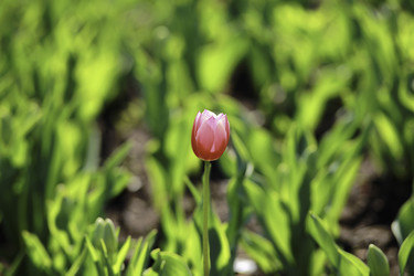 Similar image 10855185