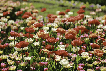 Similar image 10855186