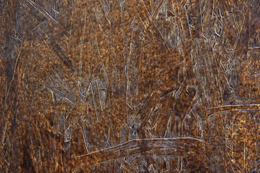 Similar image 10855486