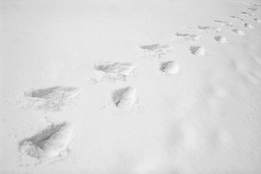 Similar image 10855190