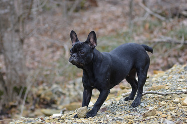 Similar image 10855133