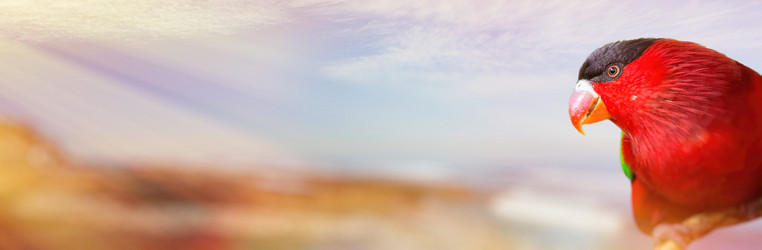 Similar image 10856943