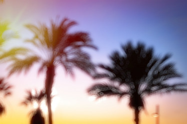 Similar image 10856924