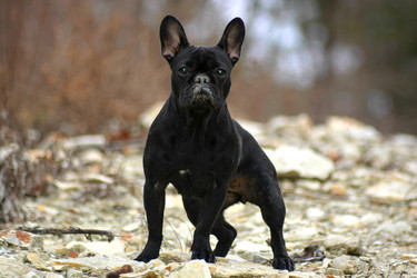 Similar image 10855135