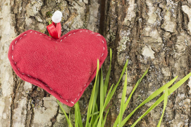 Similar image 10855282