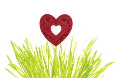 Similar image 10855289