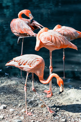 Similar image 10855141