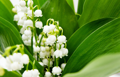 Similar image 10855209