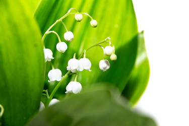 Similar image 10855210