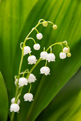 Similar image 10855218