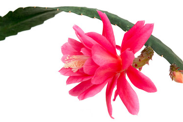 Similar image 10855219