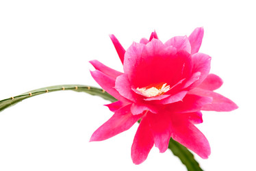 Similar image 10855220