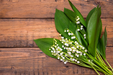 Similar image 10855223