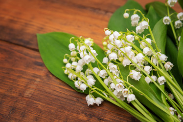 Similar image 10855224