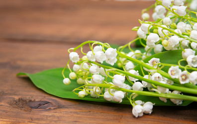 Similar image 10855226