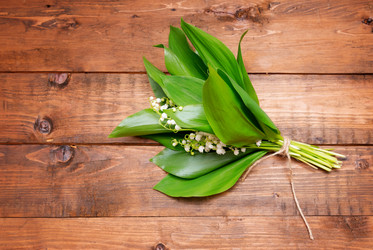 Similar image 10855227