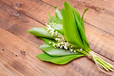 Similar image 10855228