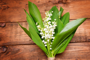 Similar image 10855229