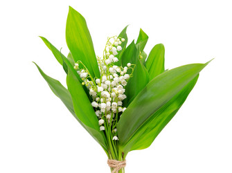 Similar image 10855230