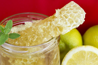 Similar image 10855529