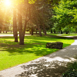 Similar image 10856535