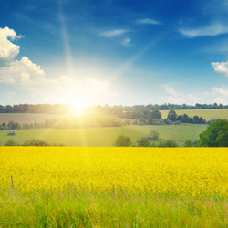 Similar image 10856536