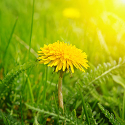 Similar image 10856538