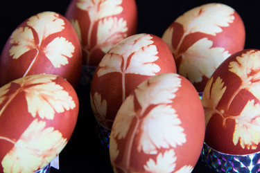 Similar image 10855745