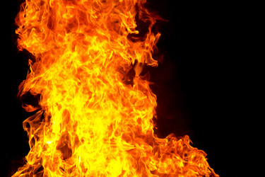 Similar image 10855754