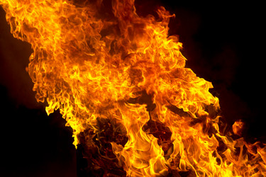 Similar image 10855755