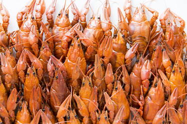 Similar image 10855780