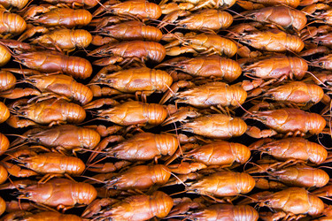 Similar image 10855781