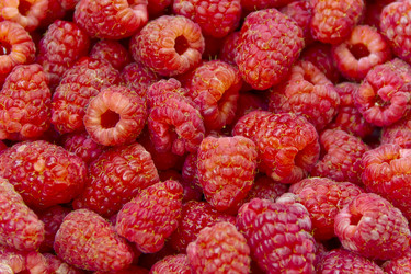 Similar image 10855797