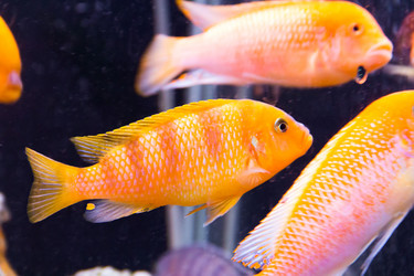 Similar image 10855807